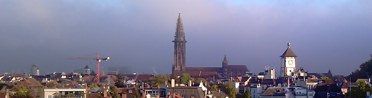 Freiburger Münster im Nebel