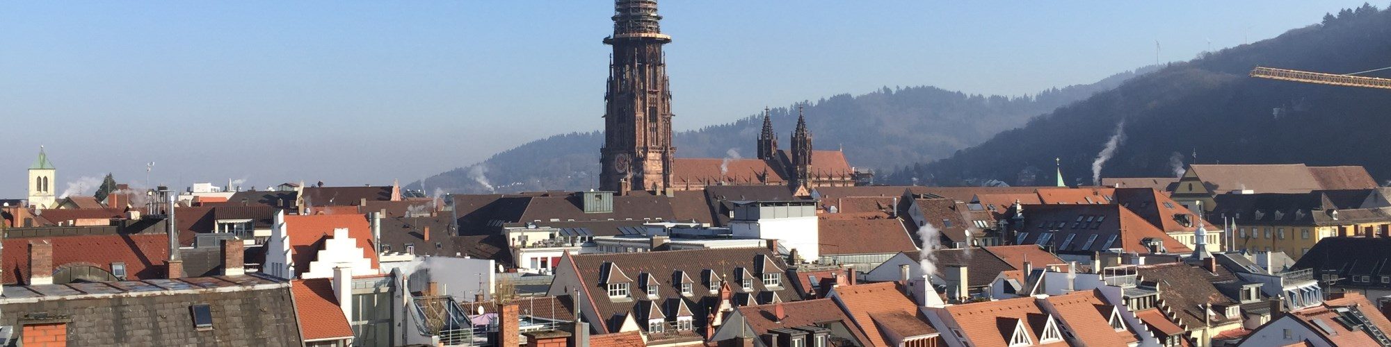 Münster in Freiburg